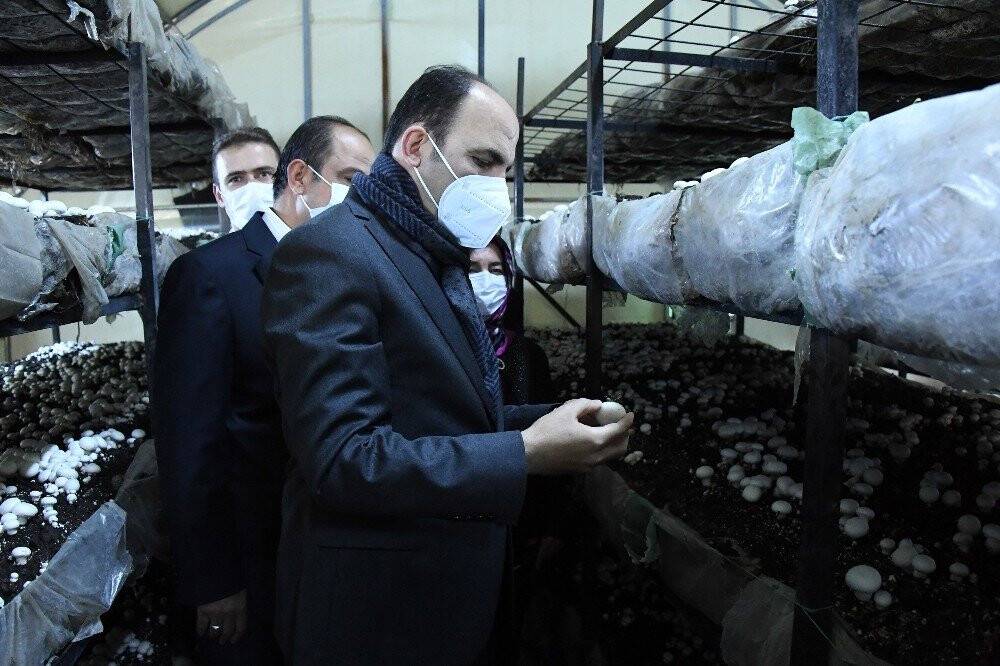 Başkan Altay: "Akören’i mantarda ve susamda markalaştırmak için çalışıyoruz”