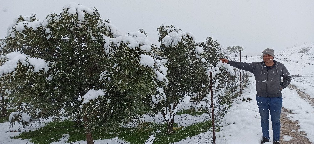 Ödemiş Ovası’na kar yağdı, bakla ve bezelye üreticileri tedirgin