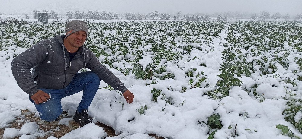 Ödemiş Ovası’na kar yağdı, bakla ve bezelye üreticileri tedirgin