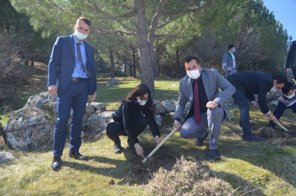 Selendi’de kızılçam fidanları toprakla buluştu