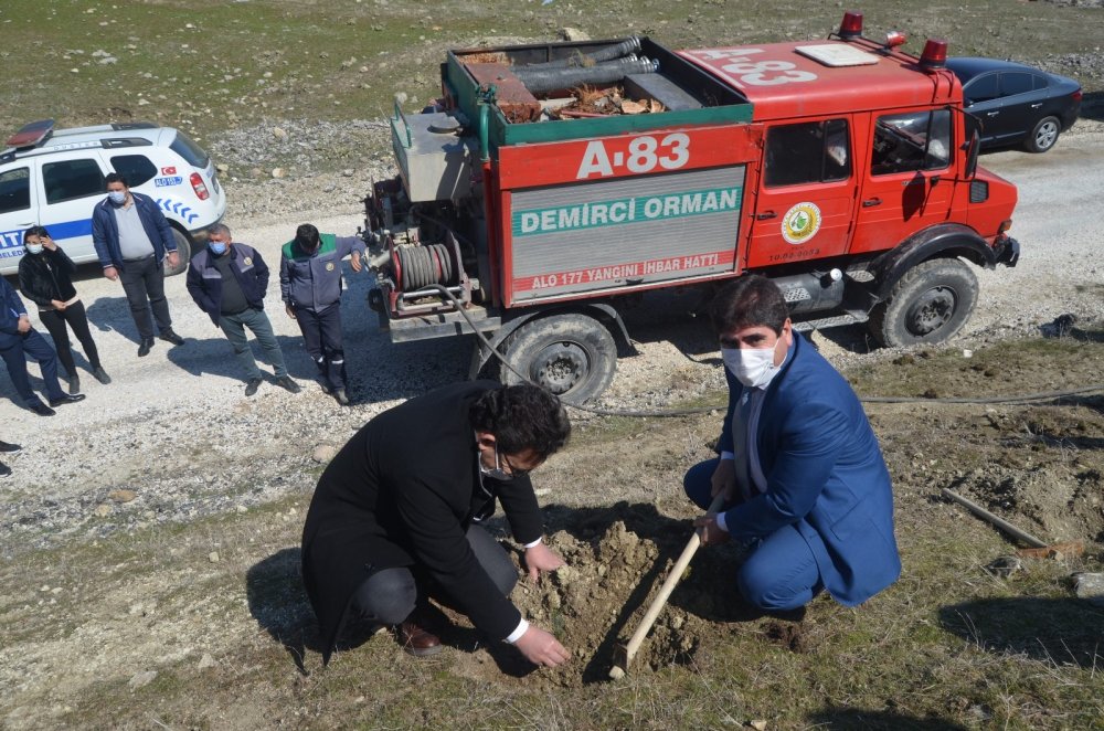 Selendi’de kızılçam fidanları toprakla buluştu