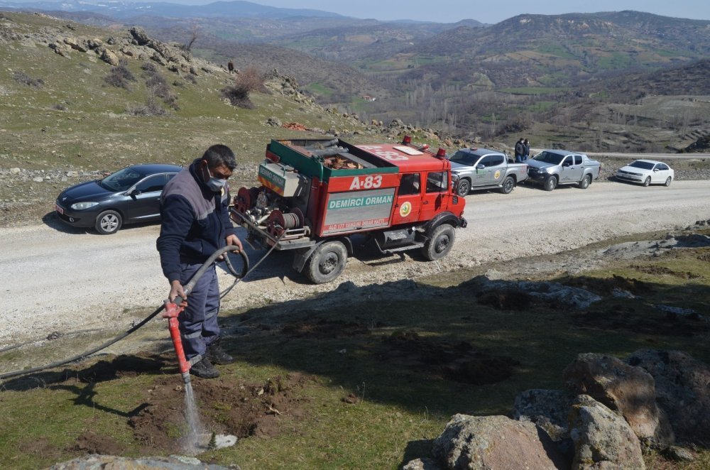 Selendi’de kızılçam fidanları toprakla buluştu