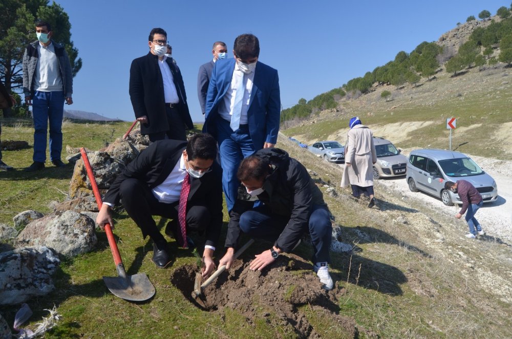 Selendi’de kızılçam fidanları toprakla buluştu