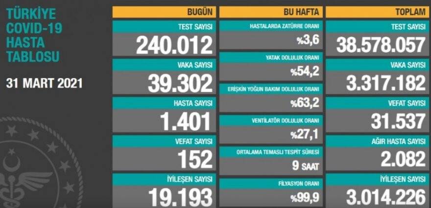 31m.jpg