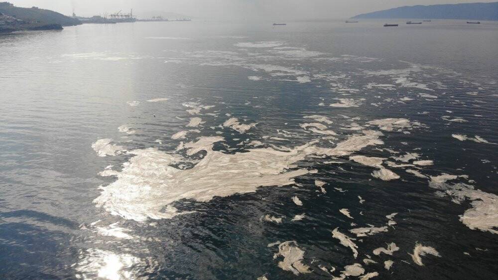 Beyaza bürünen Gemlik Körfezi korkuttu