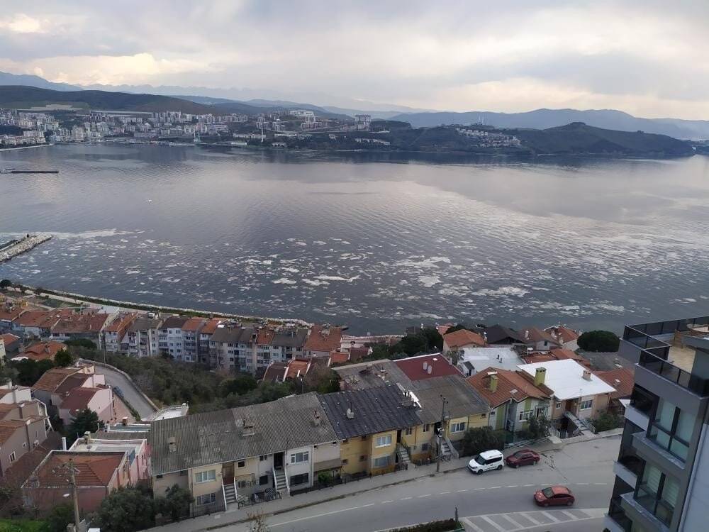 Beyaza bürünen Gemlik Körfezi korkuttu