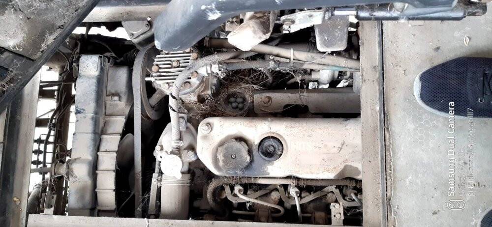 Kütüphane yapmak için aldıkları hurda araç, kuş yuvasına döndü