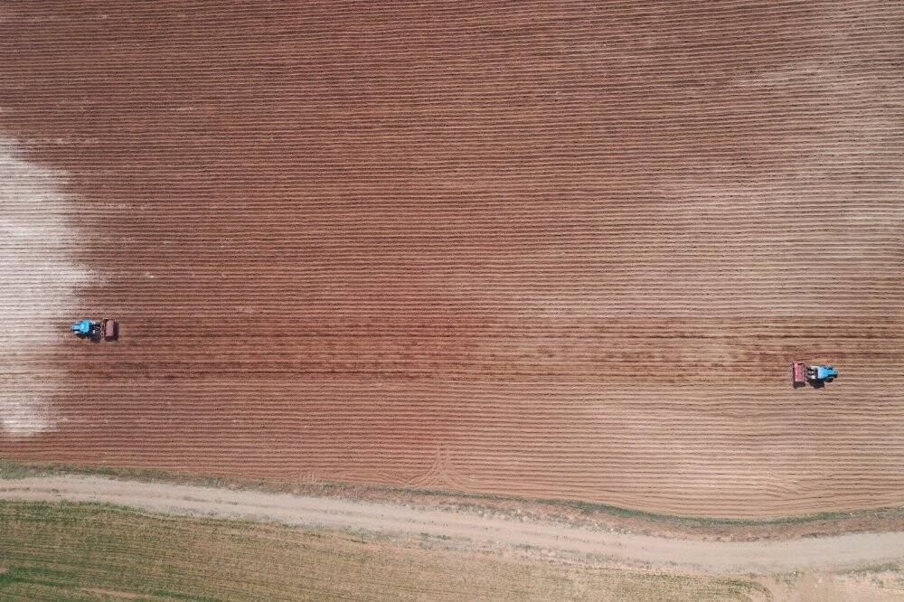 Mor patatesler toprakla buluştu