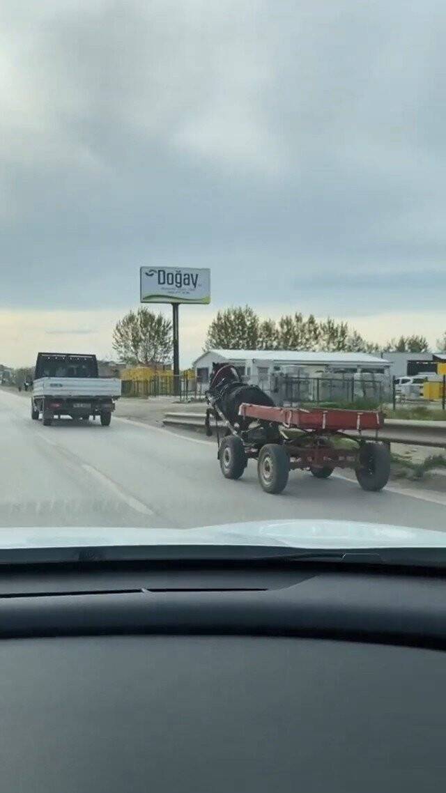 Sürücüsüz at arabası trafiği bir birine kattı