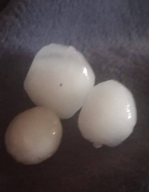 Dolu üzüm bağlarını vurdu