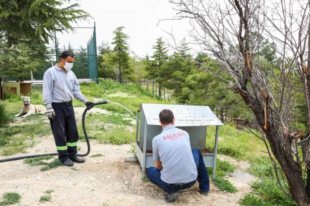 Başkan Kavuş: Sokaklardaki can dostlarımızı unutmayalım