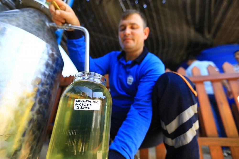 Şifalı bitkiler ekonomiye kazandırılıyor