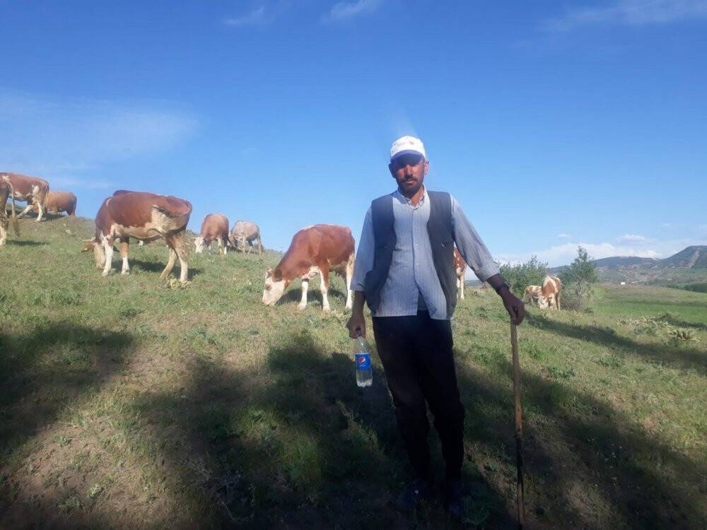 Kene paniği erken başladı