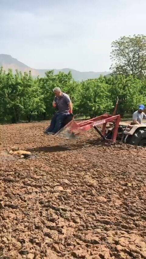 Saatlerce bataklıkta kurtarılmayı bekledi