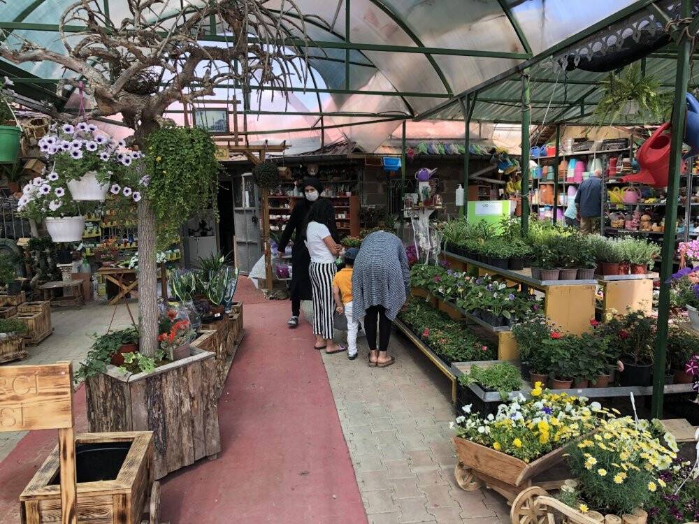 Pandemide doğaya ve bitki yetiştirmeye ilgi arttı