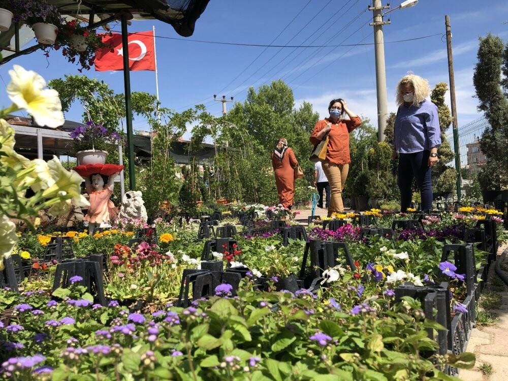 Pandemide doğaya ve bitki yetiştirmeye ilgi arttı