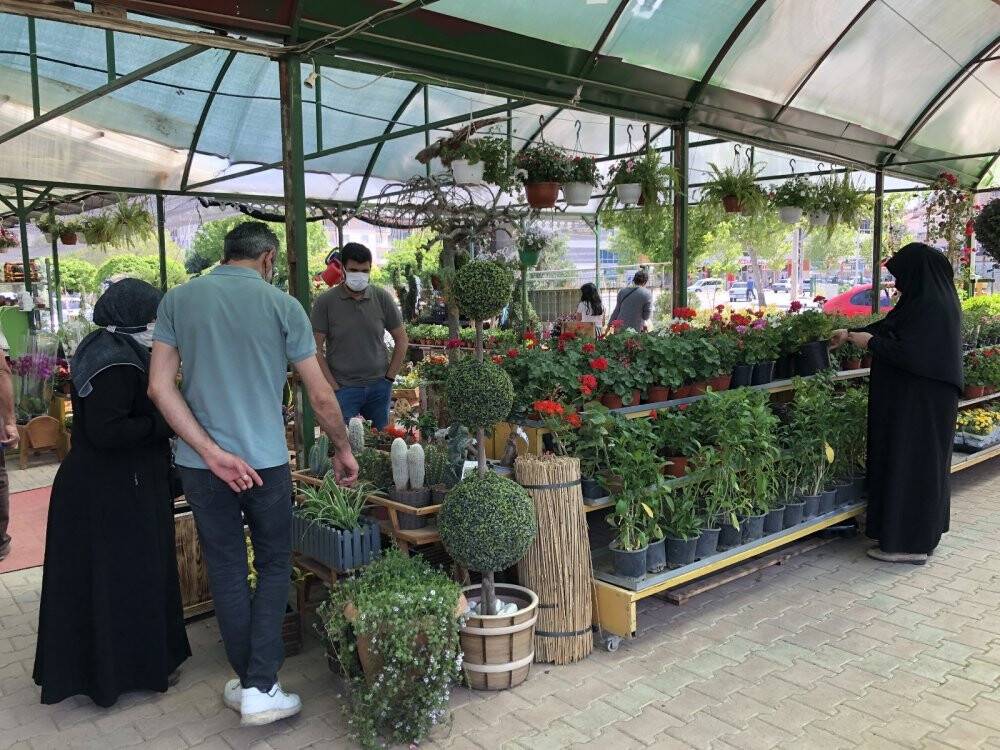 Pandemide doğaya ve bitki yetiştirmeye ilgi arttı