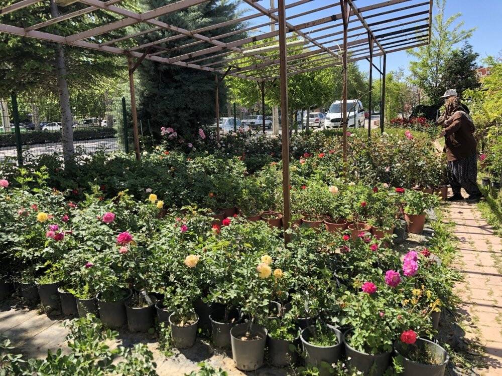 Pandemide doğaya ve bitki yetiştirmeye ilgi arttı