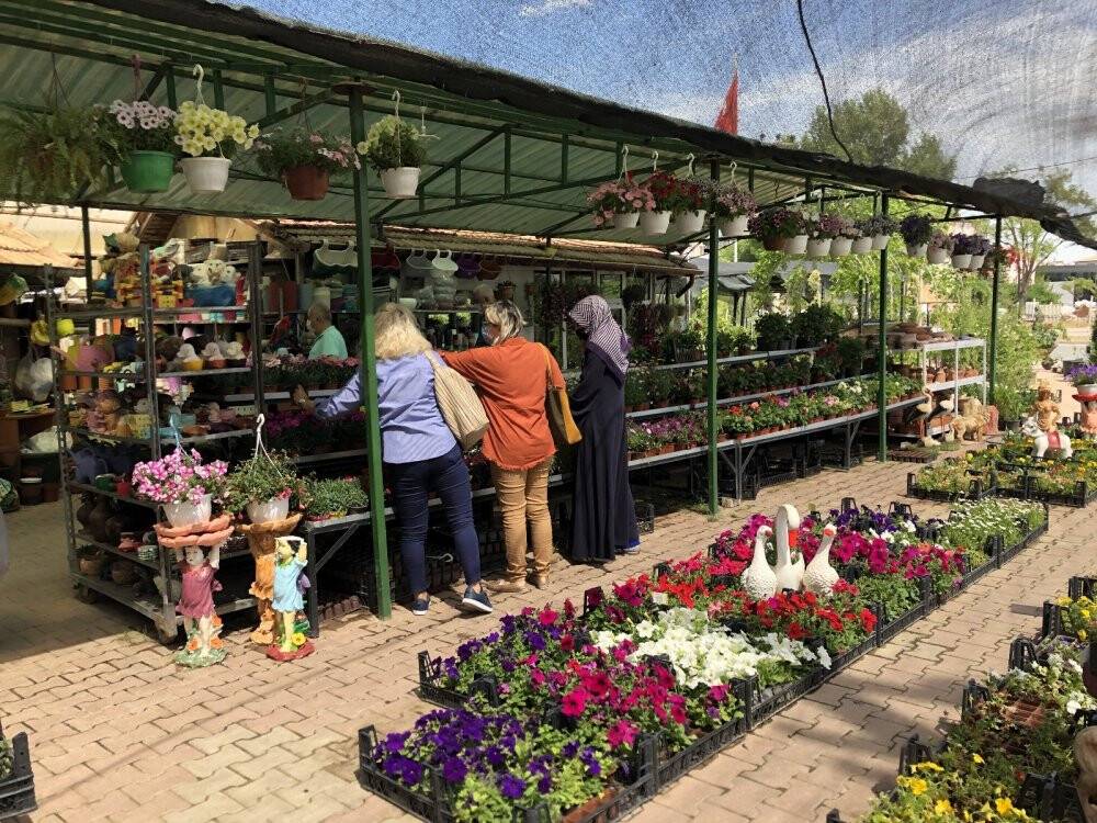 Pandemide doğaya ve bitki yetiştirmeye ilgi arttı