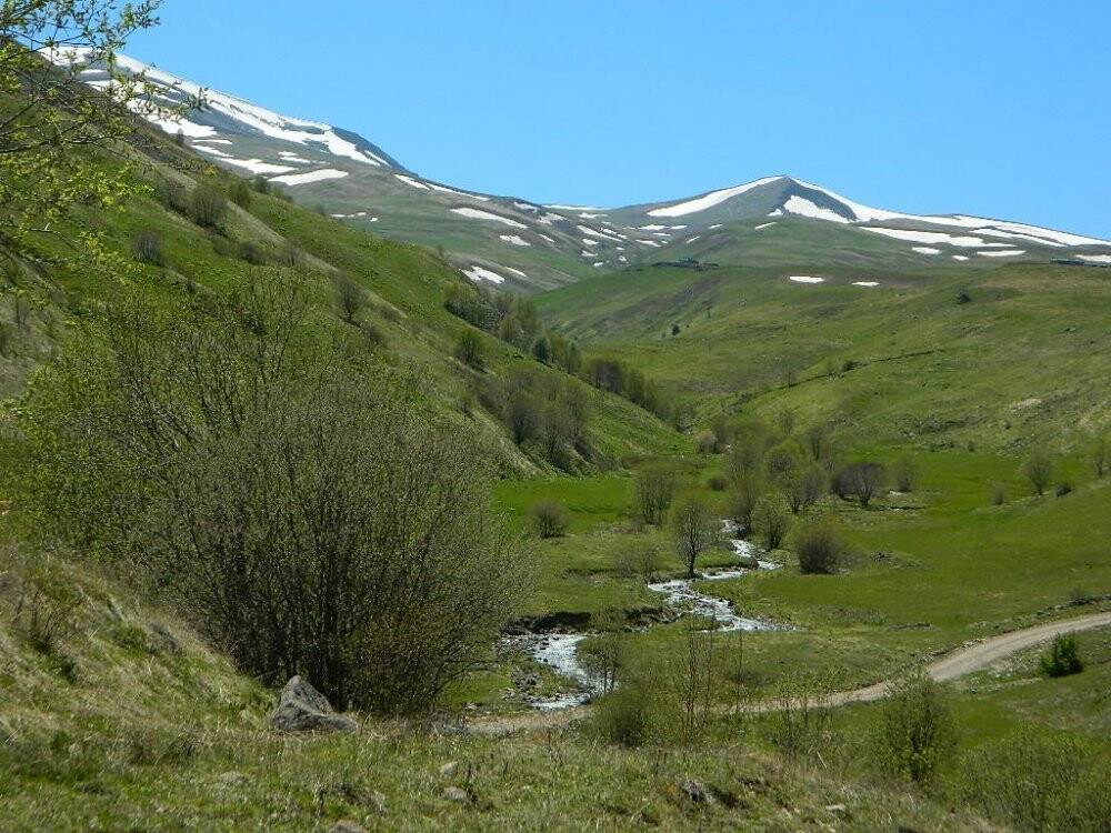 Urema yaylasında hareketlilik
