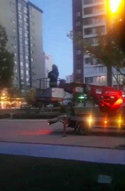 İtfaiye saksağan yavrusu için seferber oldu