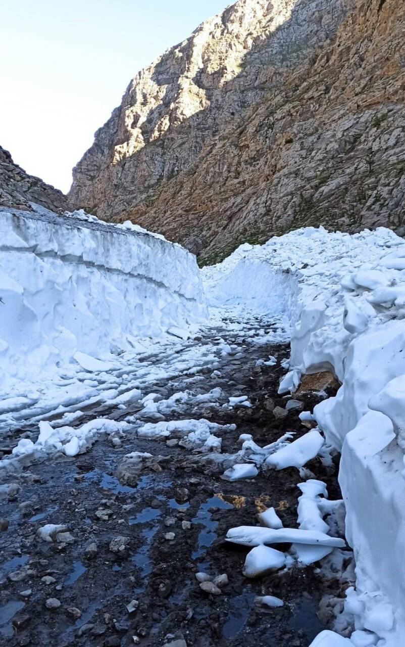 Kar kalınlığının 4 metreyi bulduğu yayla yolu açıldı