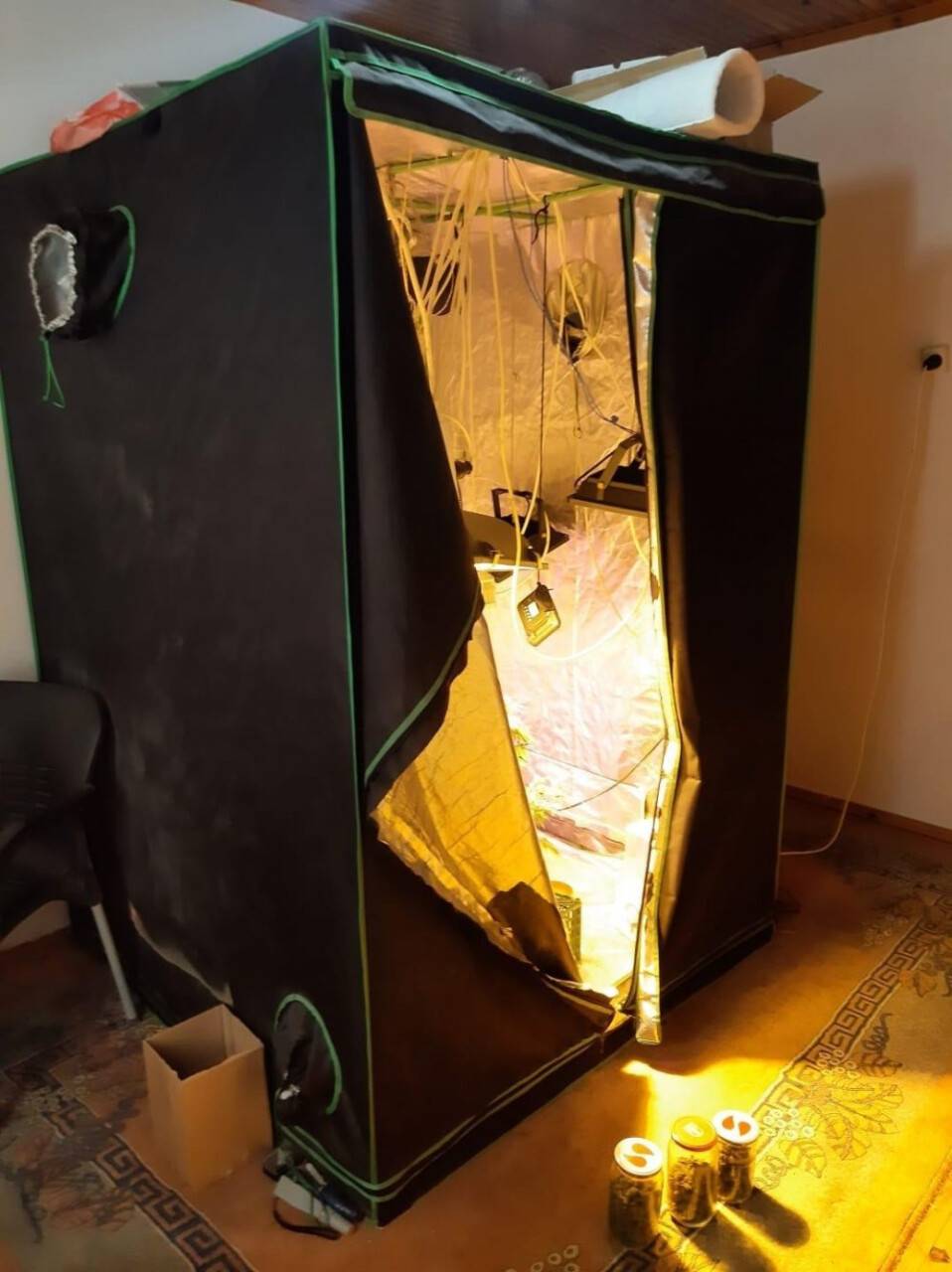 Konya'da uyuşturucu operasyonu! Balkonu ve bez dolabı kenevir serasına çevirdiler