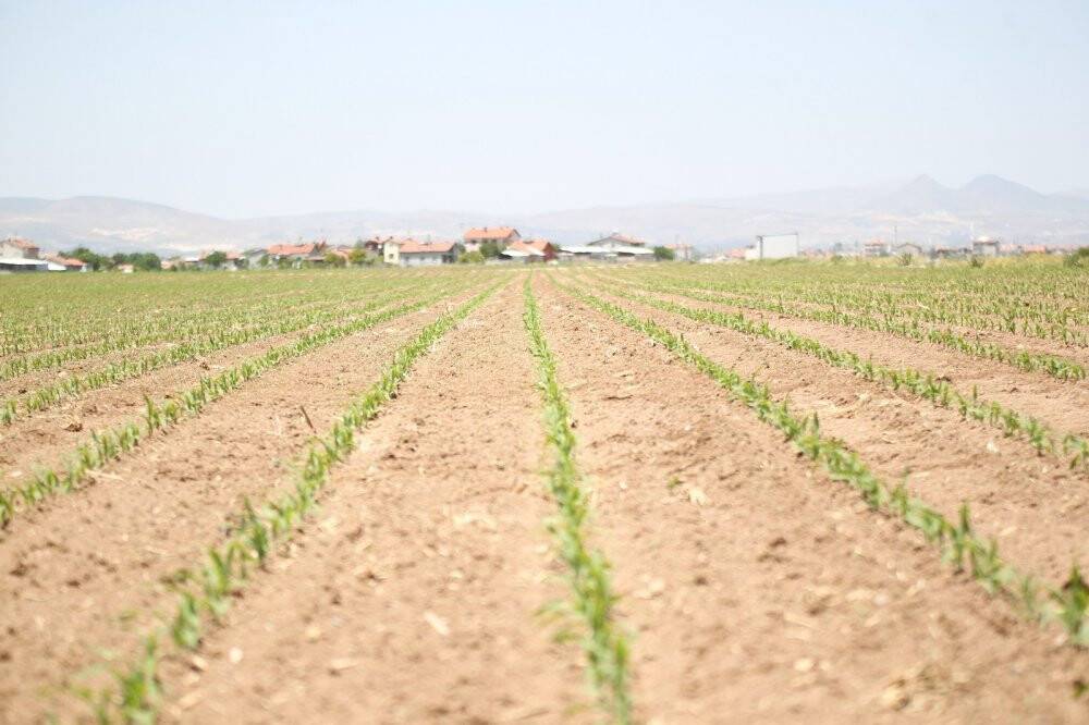 "Su yoksa kuraklığın bir diğer ismi kıtlık”