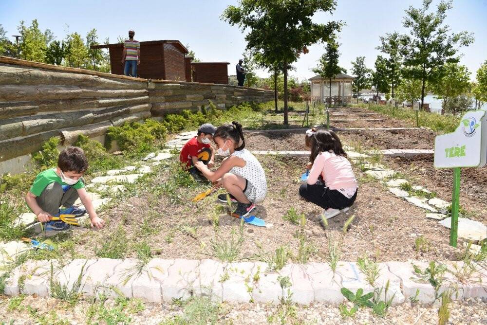 Sille Tabiat Okulu’nda eğitimler başladı