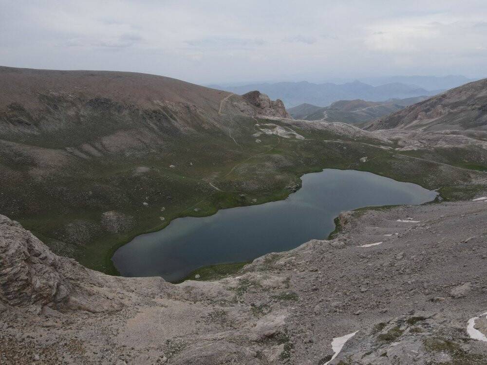 Bolkar Dağları dünyada tek ötmeyen kurbağaya ev sahipliği yapıyor