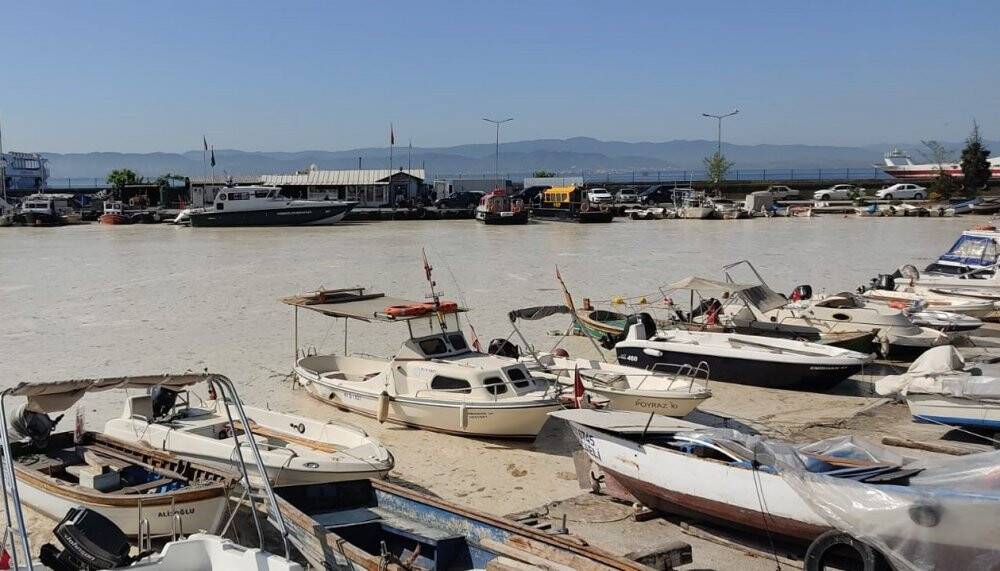 Deniz salyası ağları duman etti