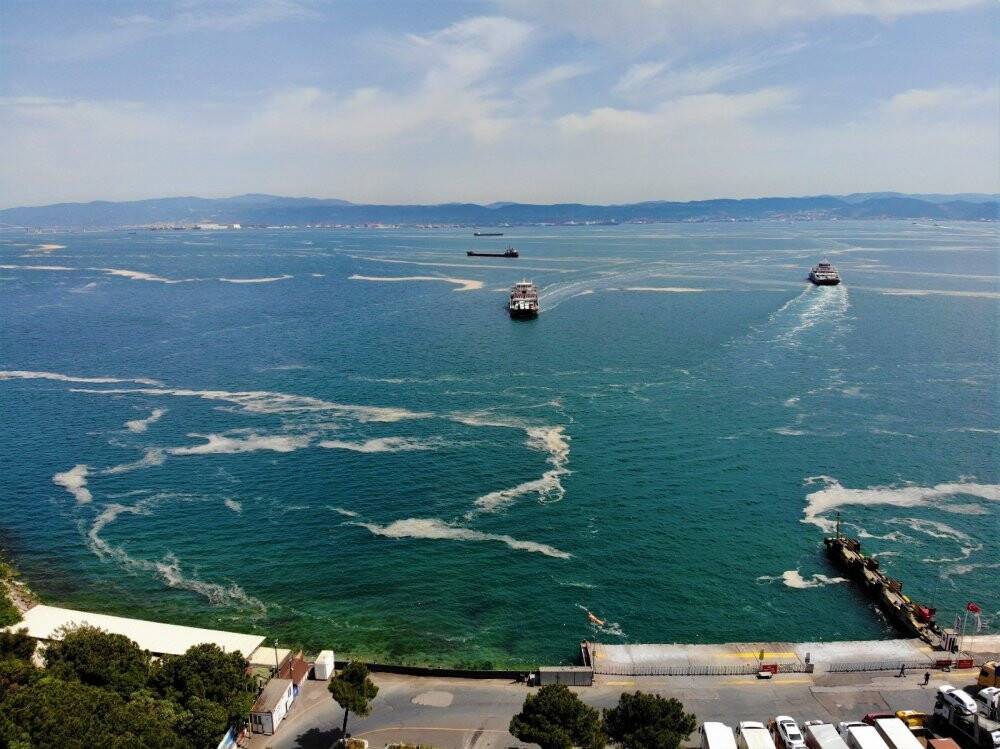 Deniz salyası ağları duman etti