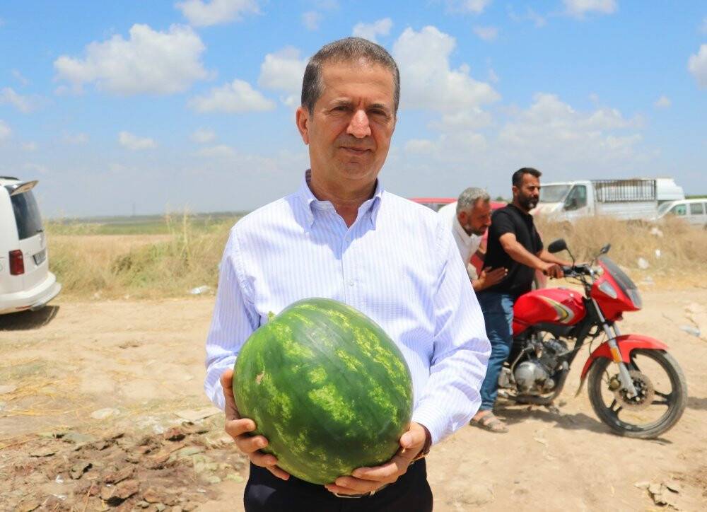 'Adana karpuzu' tarlada 50 kuruşa düştü
