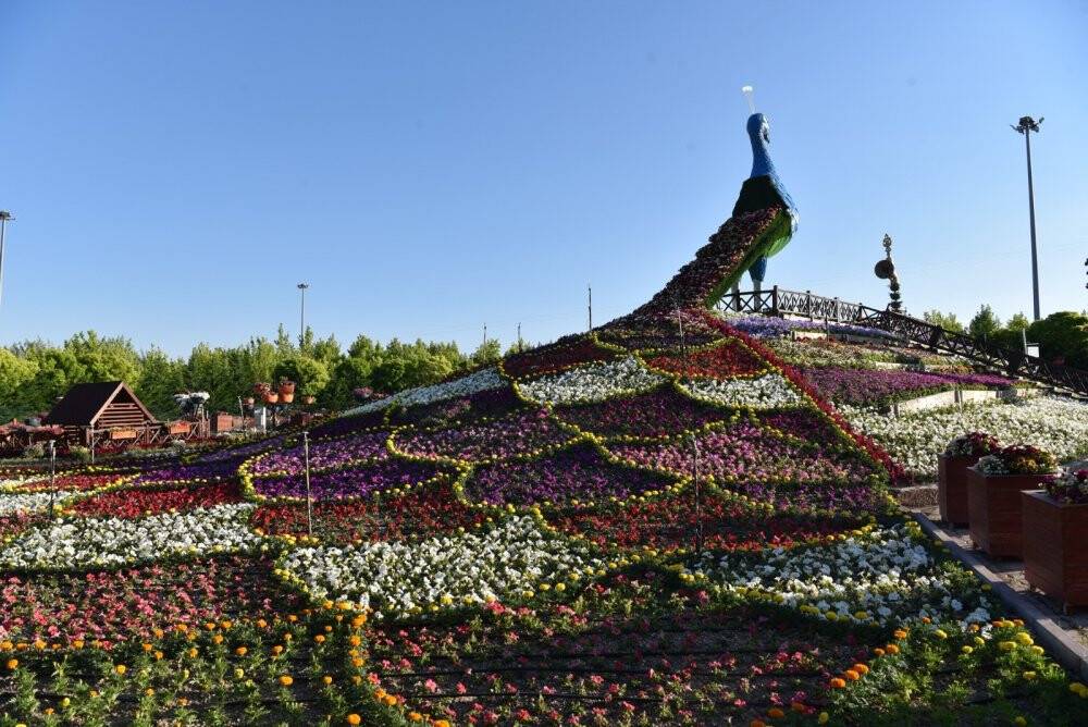 Selçuklu çiçek açtı