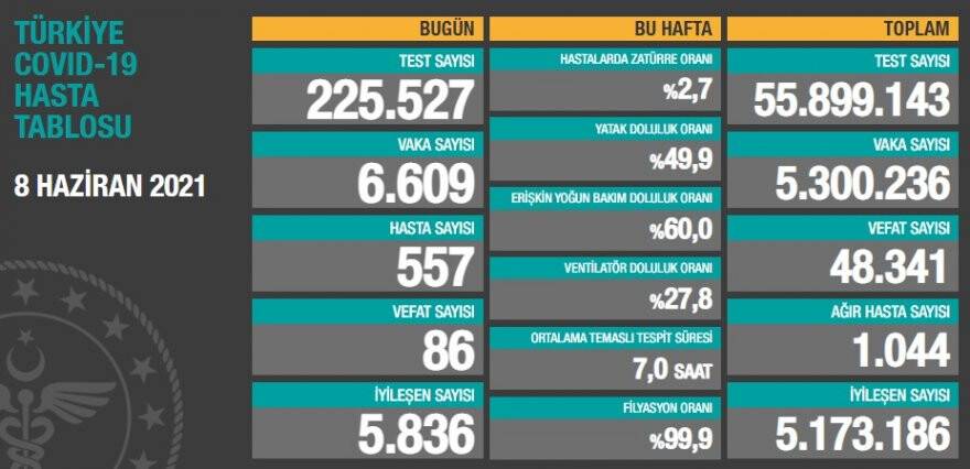 8h.jpg