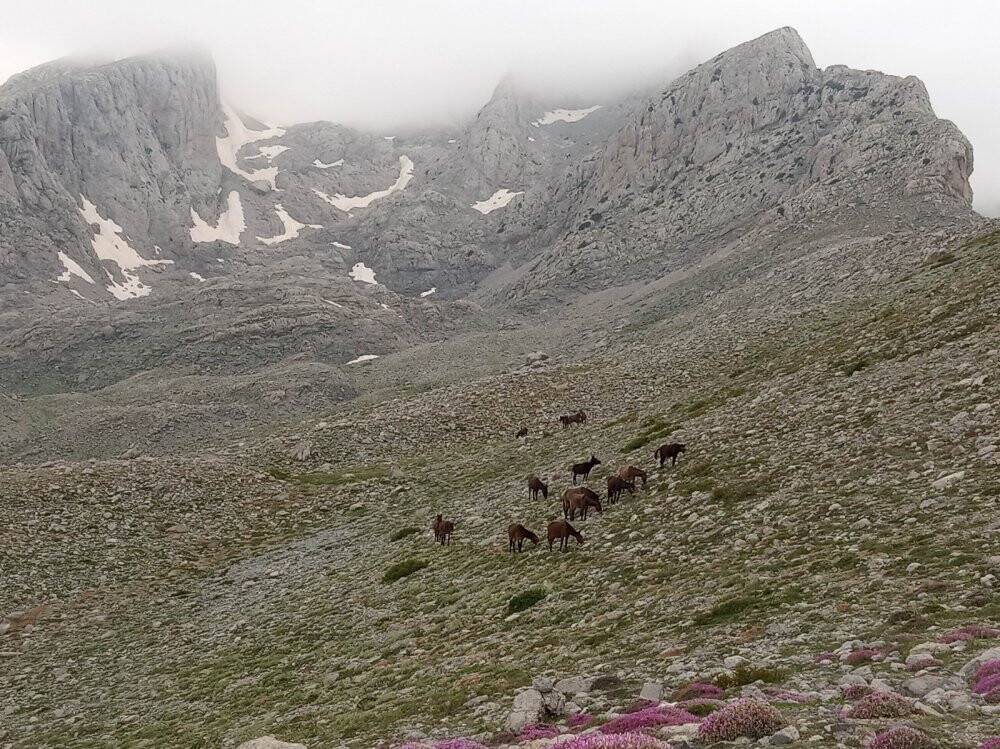Doğa tutkunlarının gözdesi: Karagöl