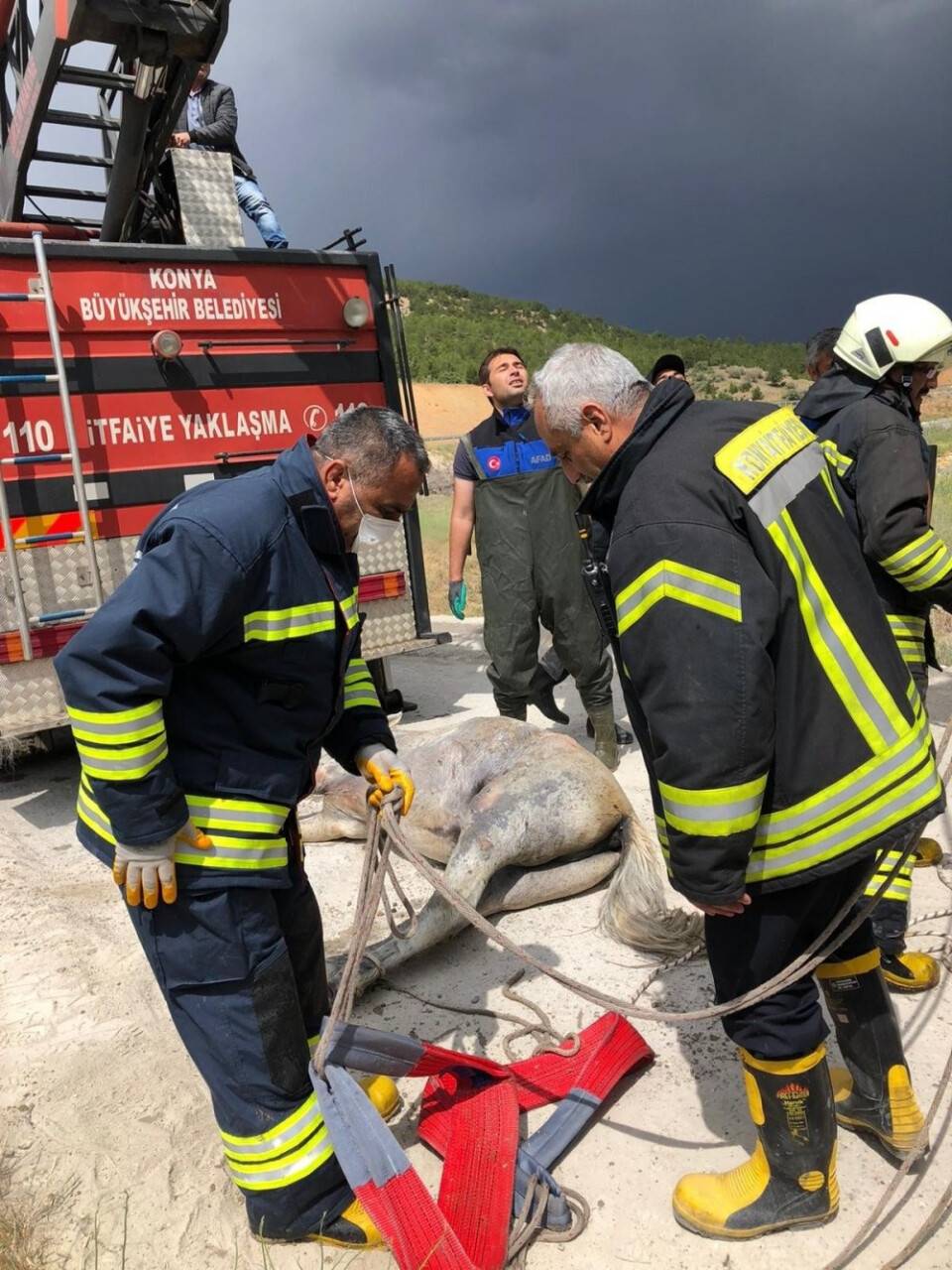 Konya’da itfaiyeden at kurtarma operasyonu