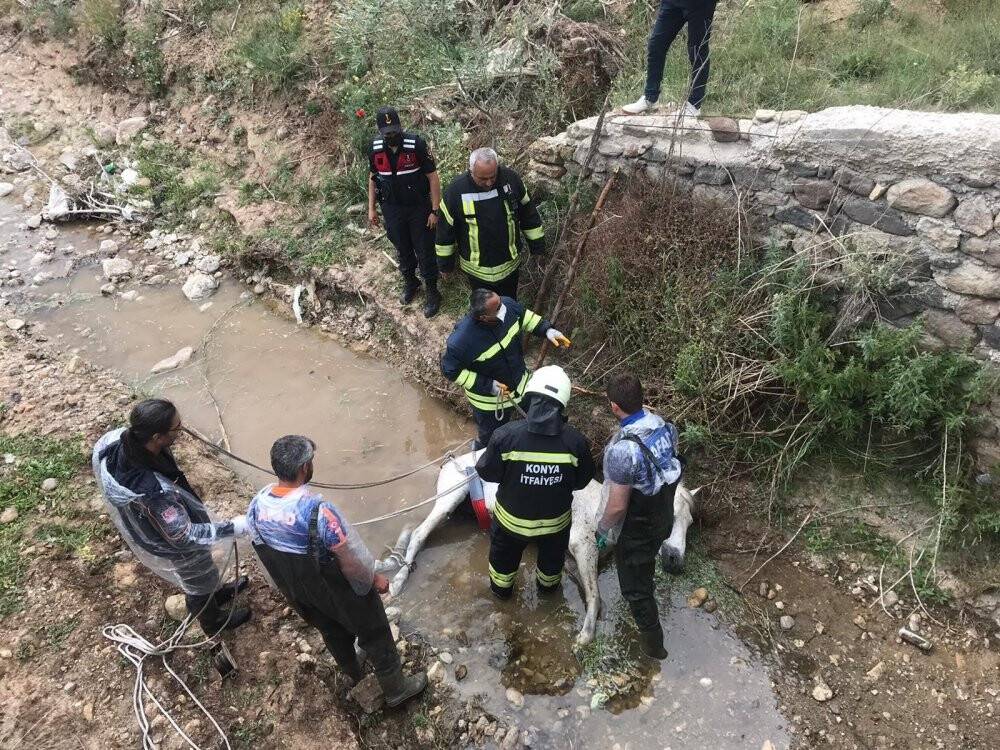 Konya’da itfaiyeden at kurtarma operasyonu