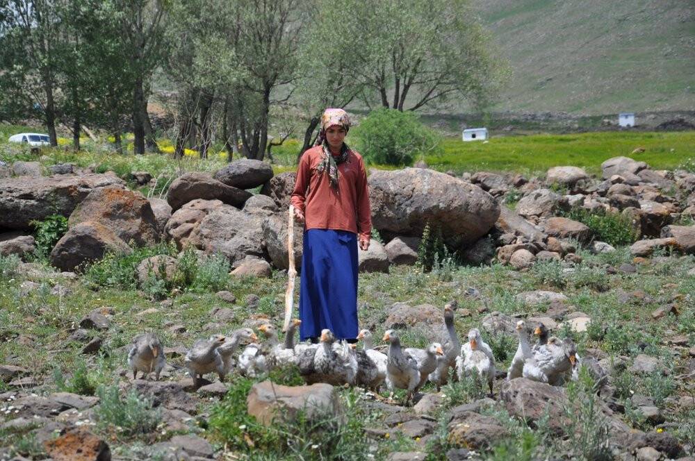 Köyden şampiyonluğuna uzanan yol