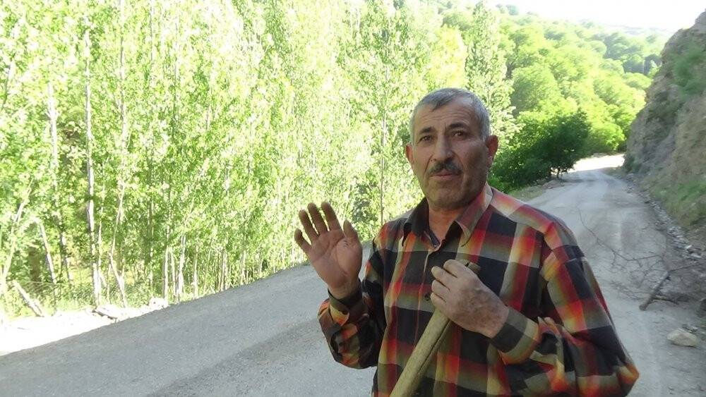 Dev çekirgeler bu kez Çatak’ta görüldü