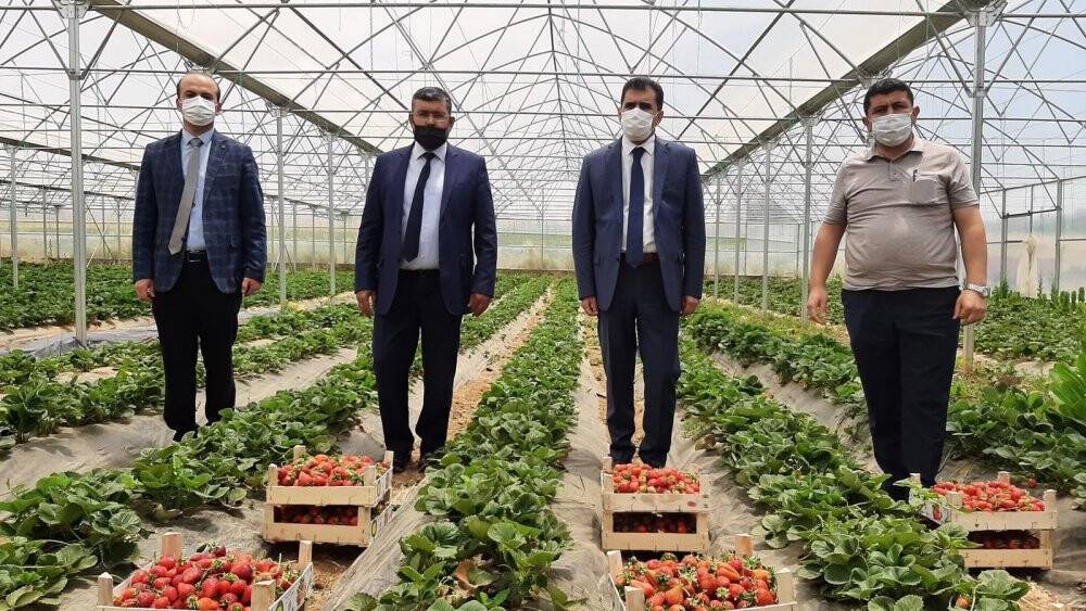 Hüyük’te coğrafi tescilli çileğin tanıtım ve eğitim toplantısı