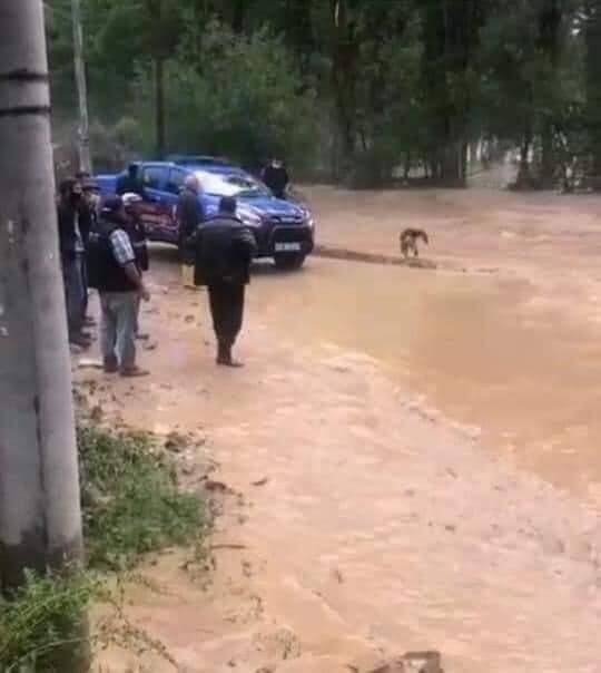 Yoğun yağış sonrası dereler taştı yollar kapandı