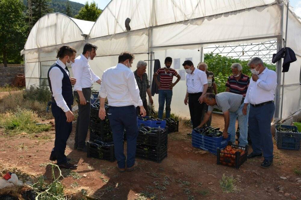 Atıl araziye kurdukları sera gelir kapısı oldu