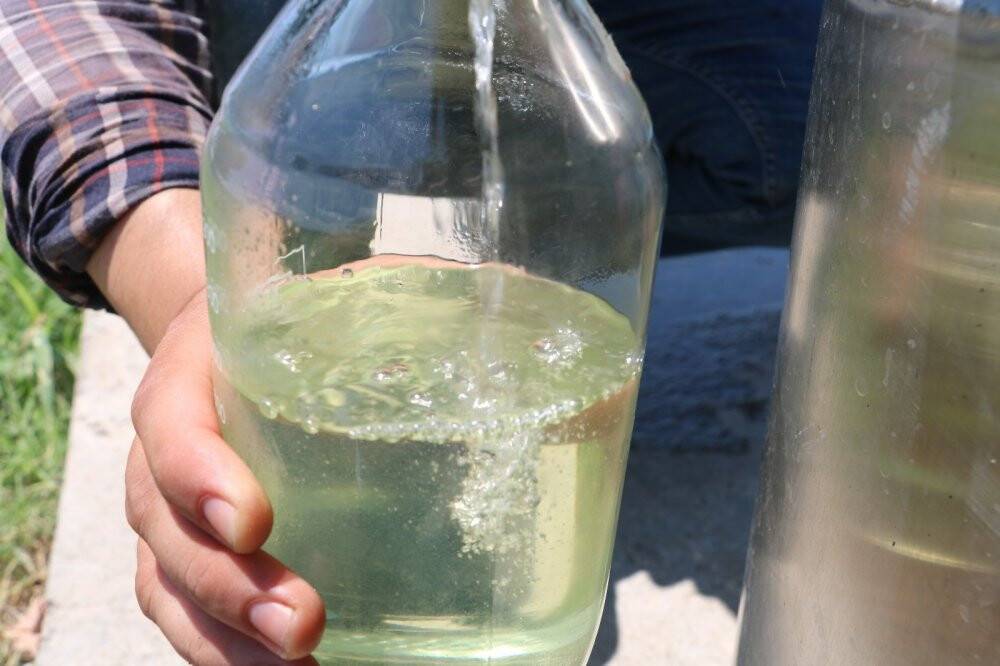 Kilosu 800 liradan satılan lavanta yağının hasadına başlandı