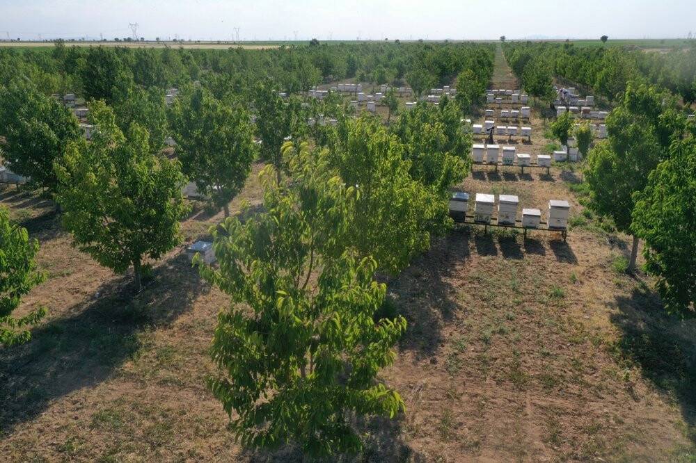 Başkan Konuk: Ekolojik çözümün raflara ulaşan bereketiyle de ekosisteme yatırımın ödülünü alıyoruz