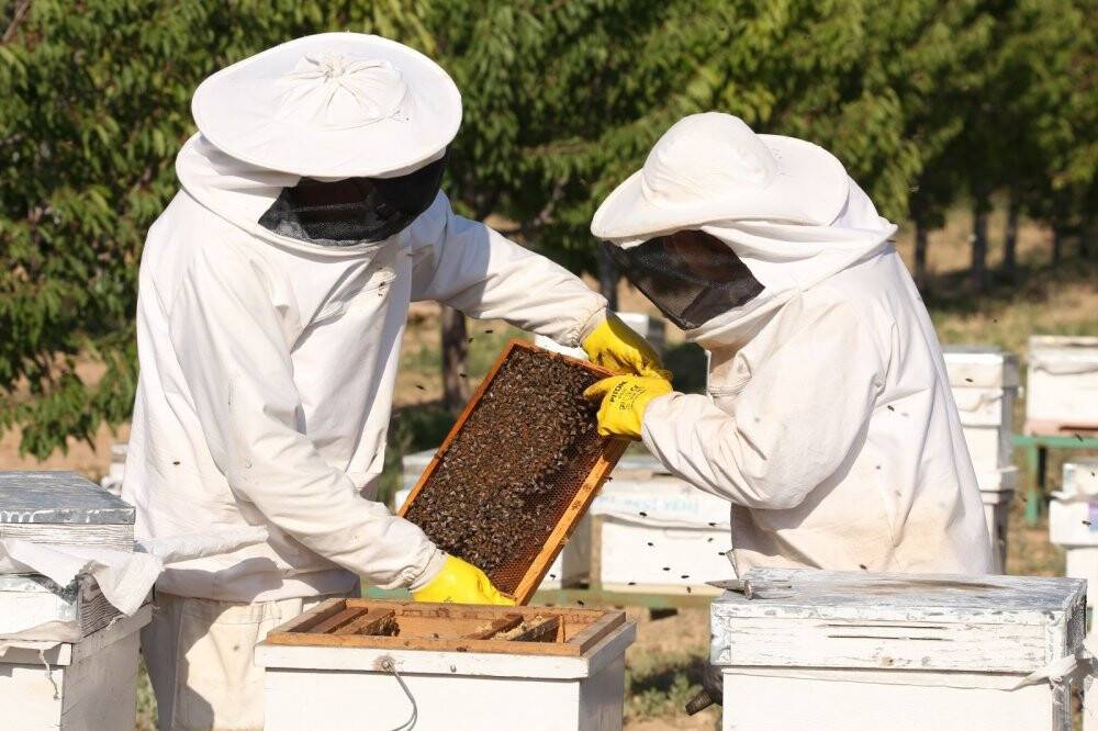 Başkan Konuk: Ekolojik çözümün raflara ulaşan bereketiyle de ekosisteme yatırımın ödülünü alıyoruz