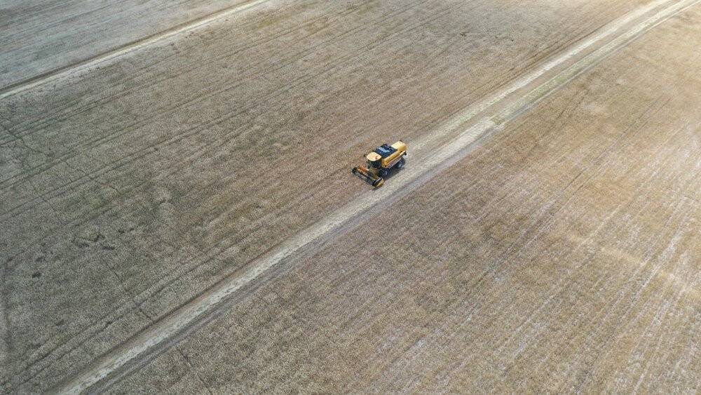 Konya’da atıl araziler ekilip hasadı yapıldı, geliri vatandaşa aktarılacak