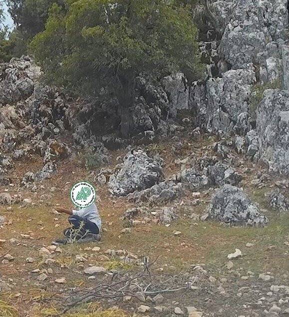 Konya'da yasa dışı göl soğanı sökümüne 80 bin 465 TL ceza