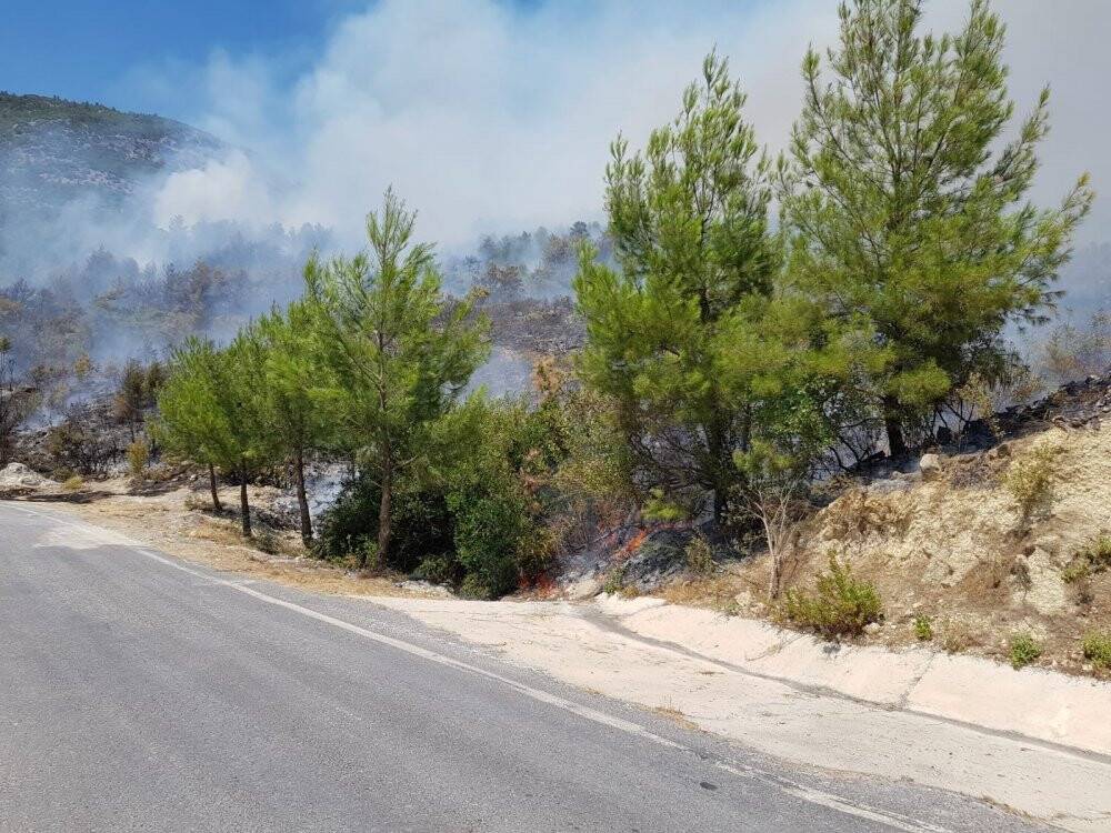Manavgat-Konya yolu üzerinde orman yangını
