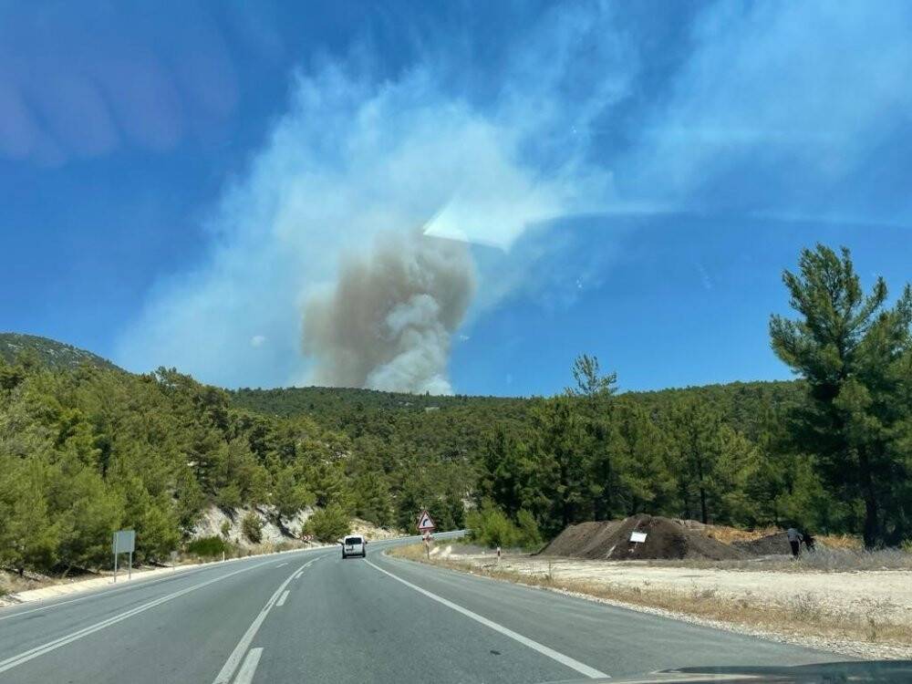 Manavgat-Konya yolu üzerinde orman yangını